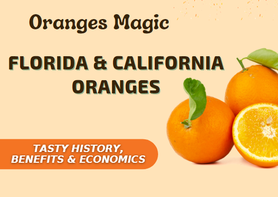 Oranges Magic -Tasty History, Benefits & Economics 