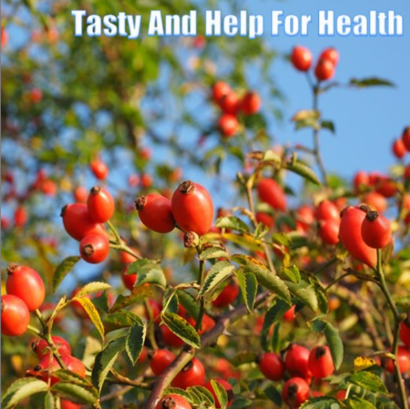 Rose Hip Story Tasty and Help For Health 