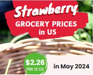 Strawberry Price Food